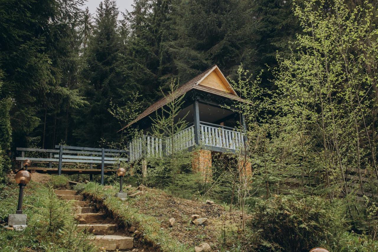 Hotel Vedmezhyi Dvir Bukovel Exterior photo